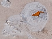 Upper Geyser Basin 6658 - Copy